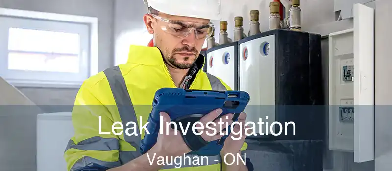 Leak Investigation Vaughan - ON