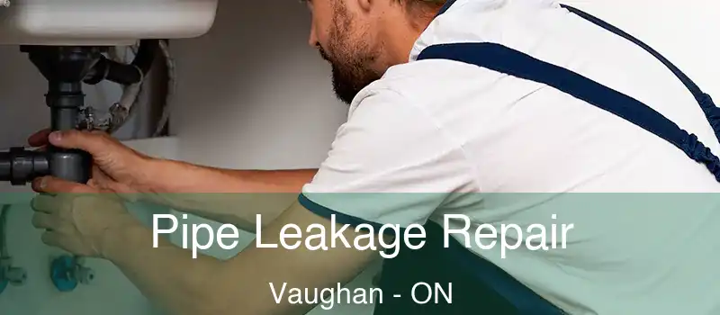  Pipe Leakage Repair Vaughan - ON