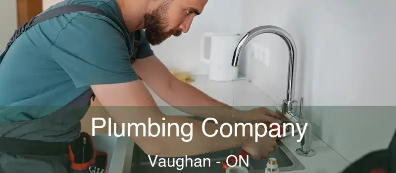  Plumbing Company Vaughan - ON